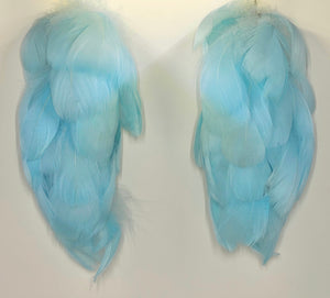 Feather Earrings