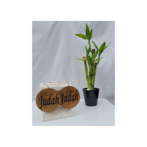 Judah Wood Earrings